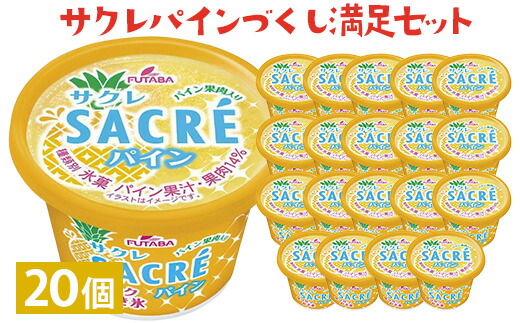 サクレパインづくし満足セット　20個｜アイス かき氷 シャーベット デザート ※着日指定不可 ※離島への配送不可