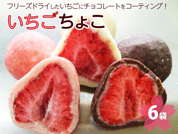 いちご ちょこ 6袋 ｜ 苺 イチゴ チョコ スイーツ ギフト 送料無料※着日指定不可