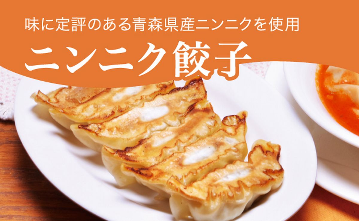「宇都宮餃子館」ニンニク餃子 960ｇ（４８個）≪ギョーザ 冷凍餃子 冷凍食品 グルメ 食品 惣菜 中華惣菜 点心 中華≫