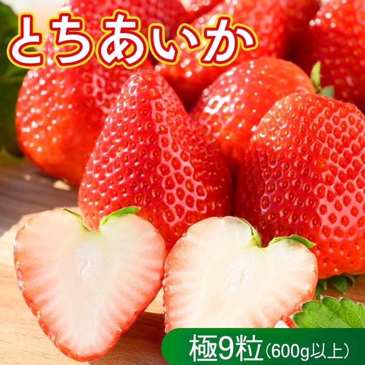 いちご（とちあいか　極）9粒 600g以上｜先行予約 数量限定 栃木県 果物 くだもの フルーツ 苺 イチゴ ※2026年12月～発送