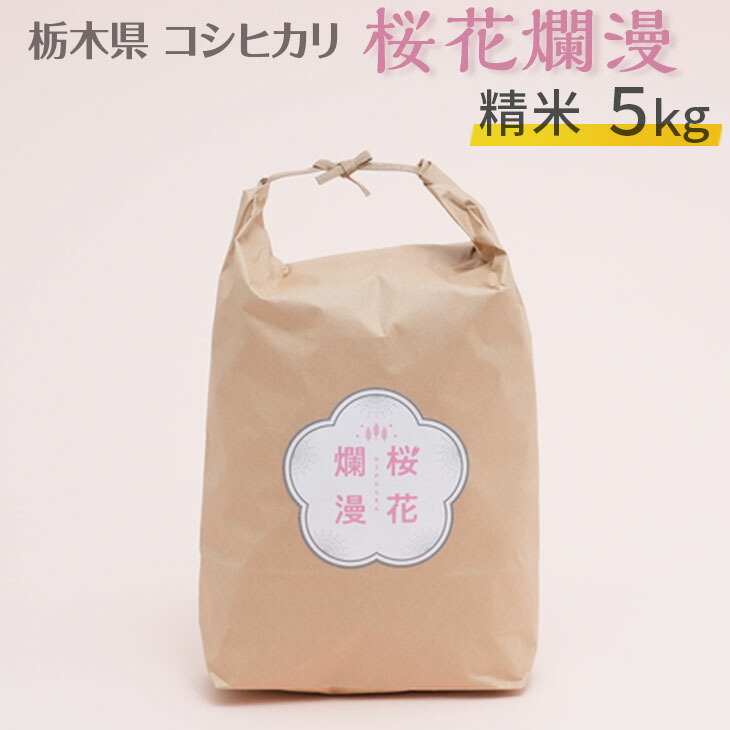 栃木県コシヒカリ 「桜花爛漫」 精米 5kg 【ご飯 お米 コメ コシヒカリ 白米 栃木県産 さくら市産】 ※北海道・沖縄・離島への配送不可 ※着日指定不可