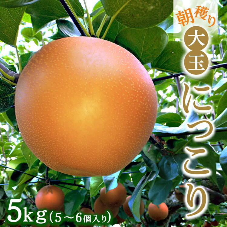 朝穫り 大玉【にっこり】5kg 5個?6個入り【9月20日受付終了】 梨 なし フルーツ 果物 数量限定 ※2025年9月下旬?10月上旬頃に順次発送予定 ※離島・沖縄への配送不可