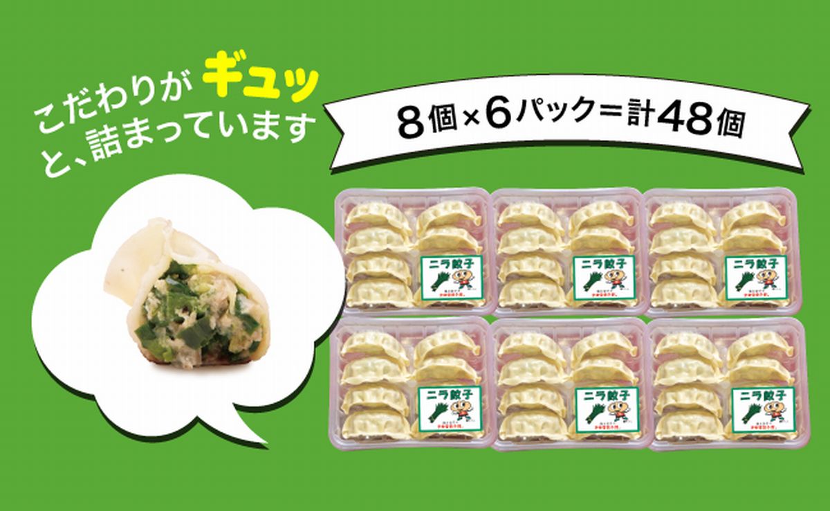 「宇都宮餃子館」ニラ餃子 960ｇ（４８個）≪ギョーザ 冷凍餃子 冷凍食品 グルメ 食品 惣菜 中華惣菜 点心 中華≫