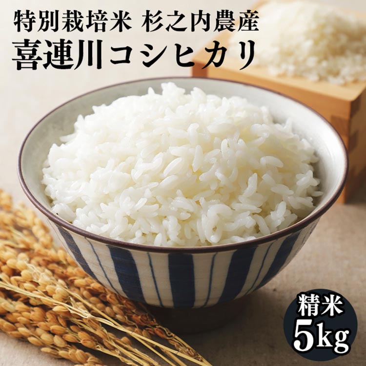 喜連川コシヒカリ　特別栽培米　杉之内農産　精米5kg｜栃木県 さくら市 道の駅きつれがわ こしひかり 米 コメ こめ