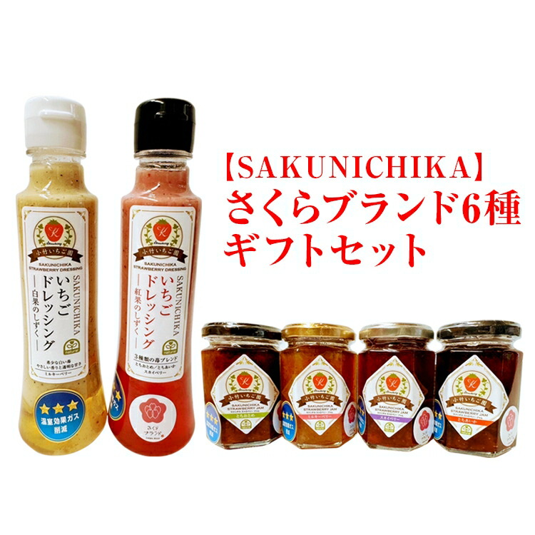 【SAKUNICHIKA】さくらブランド6種ギフトセット｜とちあいか とちおとめ スカイベリー ミルキーベリー 栃木県 さくら市 イチゴ 苺