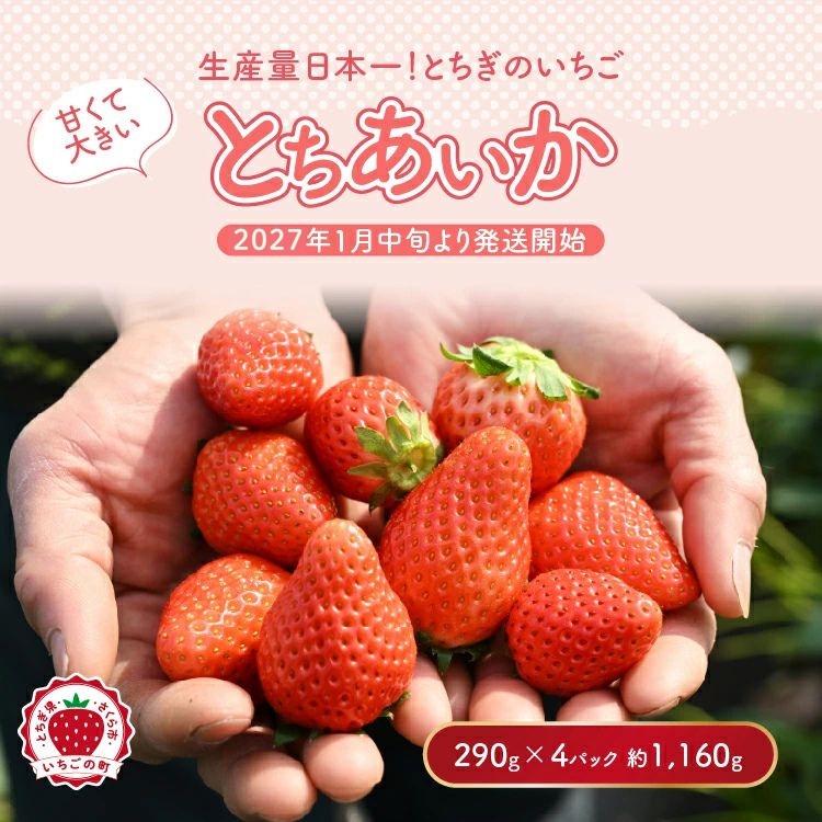 【先行予約】いちご 厳選！さくら市産 とちあいか（290g×4パック） ※2027年1月～発送