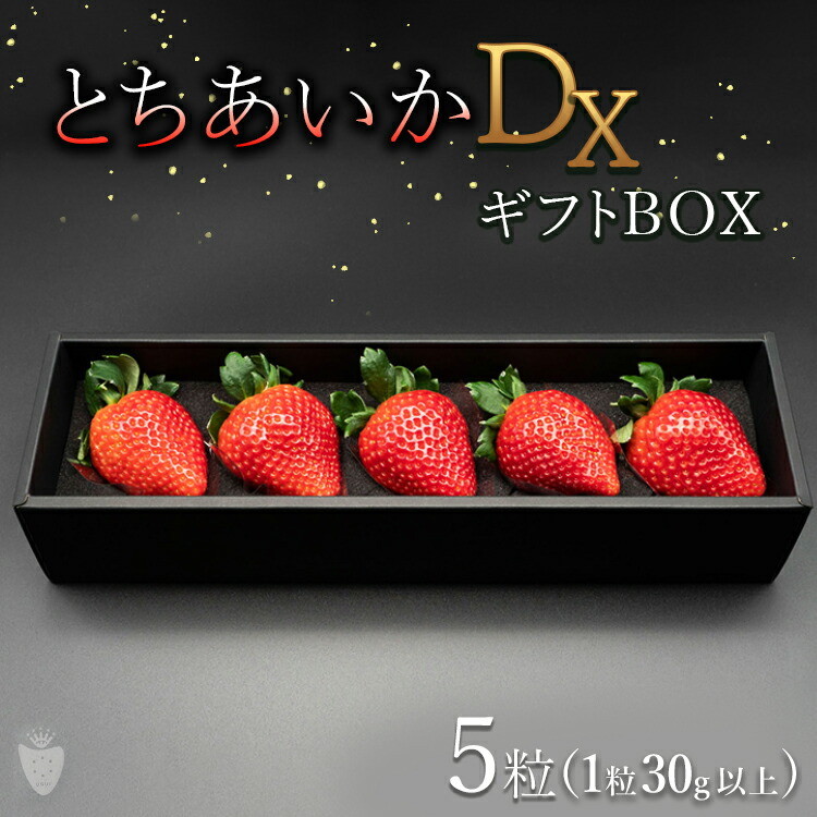 【先行予約】【数量限定】とちあいかDX ギフトBOX（5粒）｜いちご イチゴ 苺 先行予約 栃木県 果物 くだもの フルーツ とちあいか 新鮮 贈答 ギフト  ※2026年11月～発送