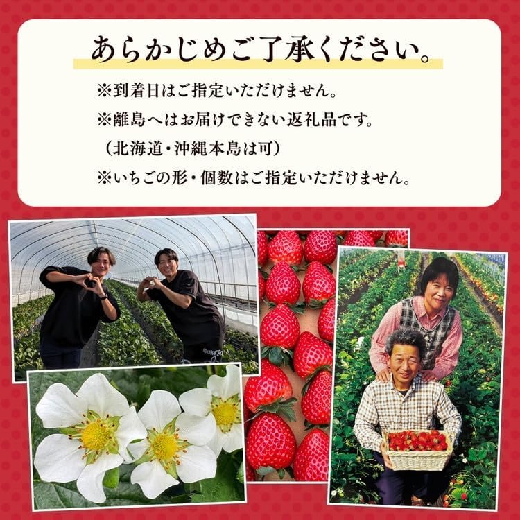 栃木おいしい会のいちご（とちあいか）260g×8パック（2080g）｜栃木県共通返礼品 栃木県産 ※2027年1月～発送