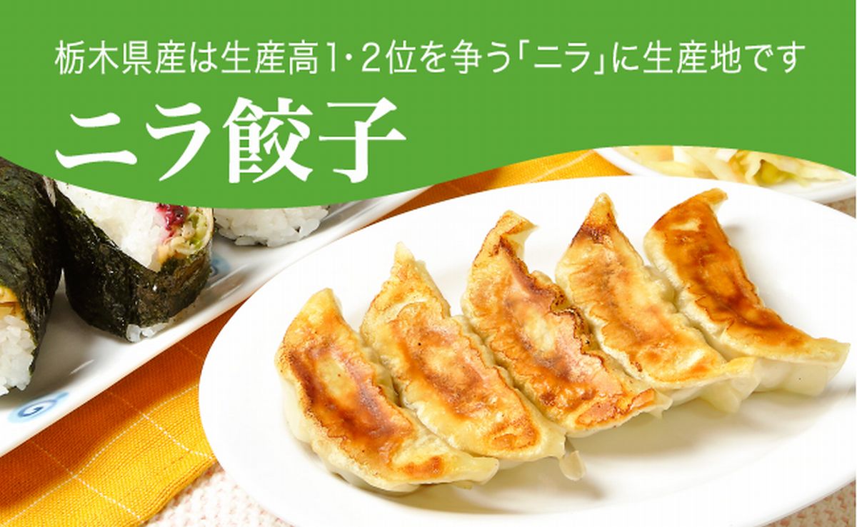 「宇都宮餃子館」ニラ餃子 960ｇ（４８個）≪ギョーザ 冷凍餃子 冷凍食品 グルメ 食品 惣菜 中華惣菜 点心 中華≫