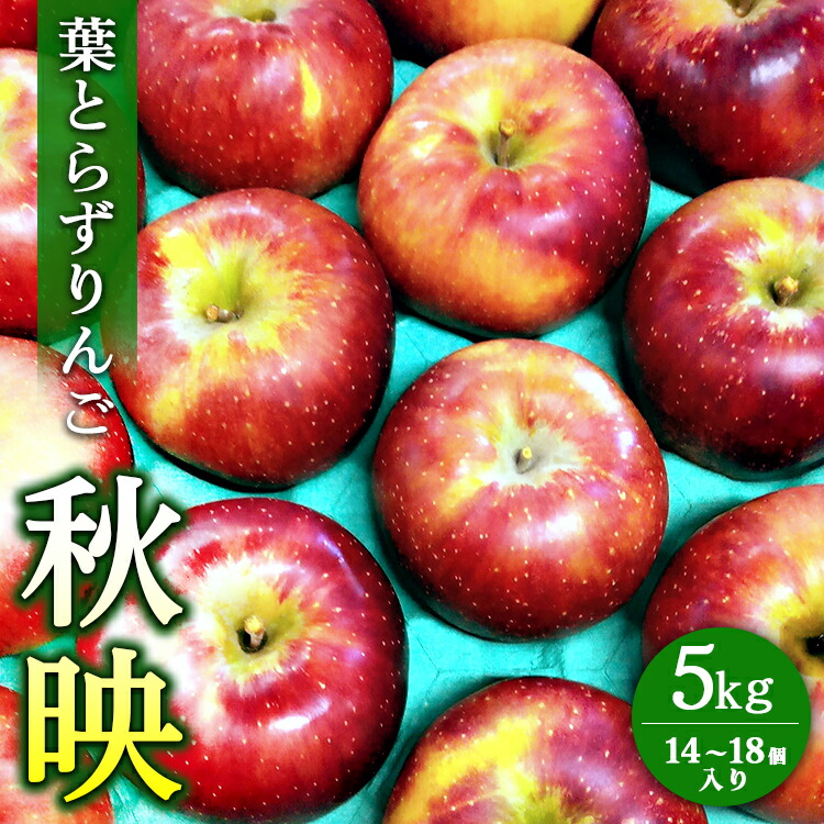 葉とらずりんご【秋映】5kg 14個?18個入り【9月30日受付終了】 林檎 リンゴ フルーツ 果物 数量限定 ※2025年9月下旬?10月上旬頃に順次発送予定 ※離島・沖縄への配送不可
