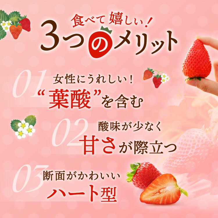 〈数量限定〉【先行予約】さくら市産イチゴ（とちあいか）290g×4パック｜いちご イチゴ 苺 先行予約 栃木県 果物 くだもの フルーツ とちあいか 新鮮 贈答 ギフト ※2025年12月下旬?2026年3月下旬頃に順次発送予定