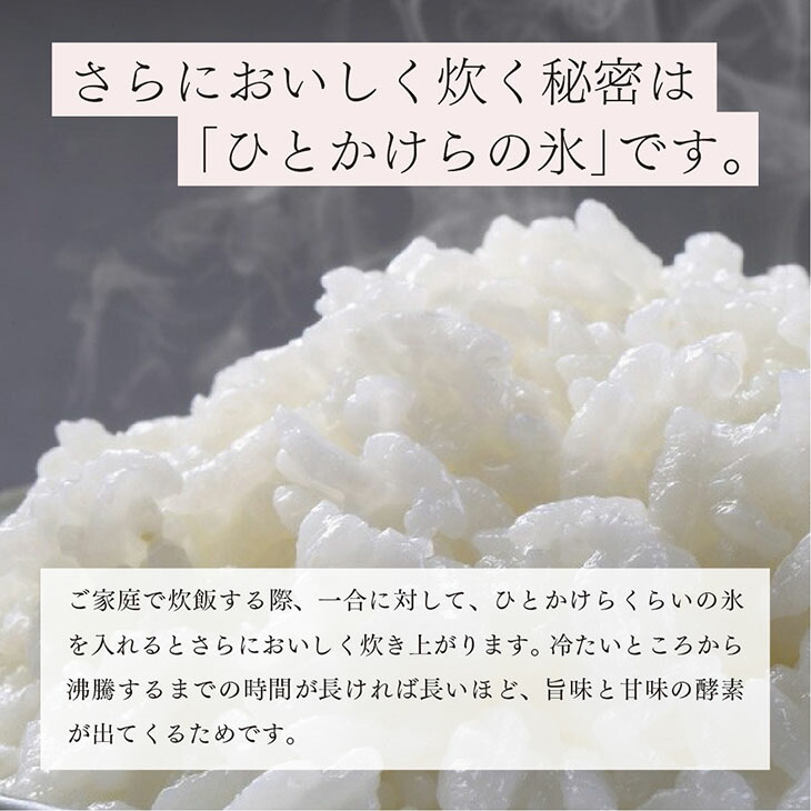 栃木県コシヒカリ 「桜花爛漫」 精米 玄米 各5kg 合計10kg 【ご飯 お米 コメ コシヒカリ 栃木県産 さくら市産】 ※北海道・沖縄・離島への配送不可 ※着日指定不可