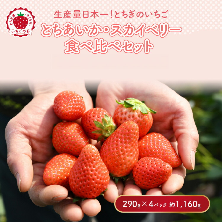 《数量限定》いちご厳選！さくら市産 とちあいか・スカイベリー食べ比べセット（290g×4パック） ｜いちご イチゴ 苺 先行予約 栃木県 果物 くだもの フルーツ とちあいか スカイベリー 新鮮 贈答 ギフト 高級 食べ比べ  ※2026年1月中旬?3月下旬頃に順次発送予定
