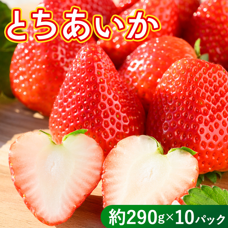 いちご（とちあいか） 290g×10パック 2.9kg以上｜先行予約 数量限定 栃木県 果物 くだもの フルーツ 苺 イチゴ ※2026年11月～発送