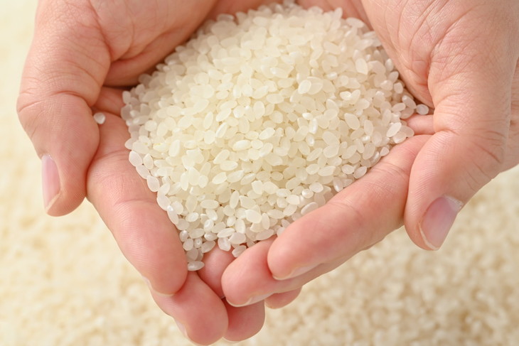 えびちゃんちの米　さくら市葛城産　5Kg ≪令和6年産 米 お米 白米 ご飯 栃木県産 送料無料≫