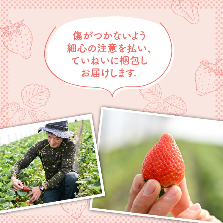 【先行予約】いちご 厳選！さくら市産 とちあいか（290g×2パック） ※2026年1月中旬?3月下旬頃に順次発送予定