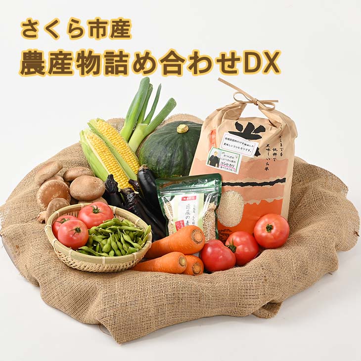 さくら市産の農産物詰め合わせDX≪野菜 旬の野菜 米 栃木県≫