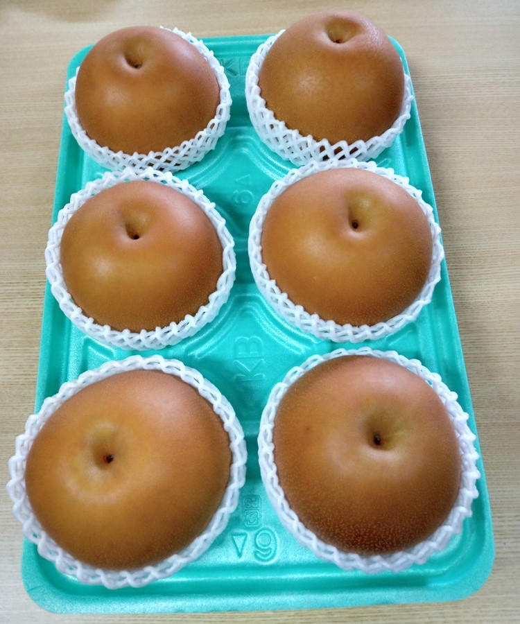 朝穫り 大玉【にっこり】5kg 5個?6個入り【9月20日受付終了】 梨 なし フルーツ 果物 数量限定 ※2025年9月下旬?10月上旬頃に順次発送予定 ※離島・沖縄への配送不可
