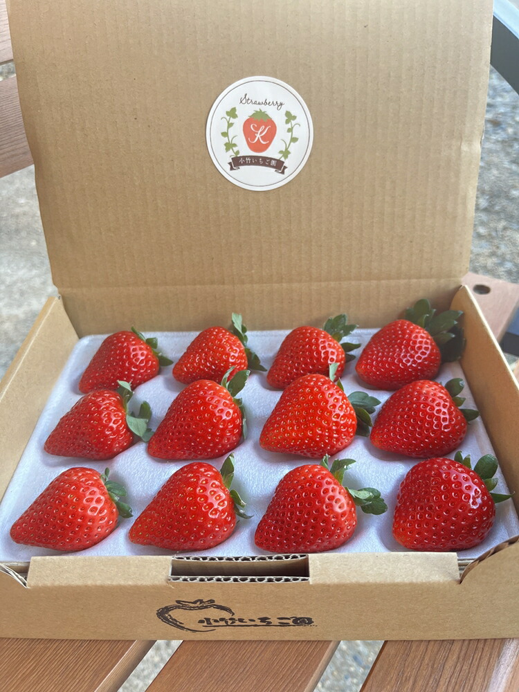 【定期便】栃木のいちご3銘柄（とちあいか　とちおとめ　スカイベリー）定期便　400g×1パック　※2026年1月上旬頃から1ヶ月毎1種類ずつ順次発送予定