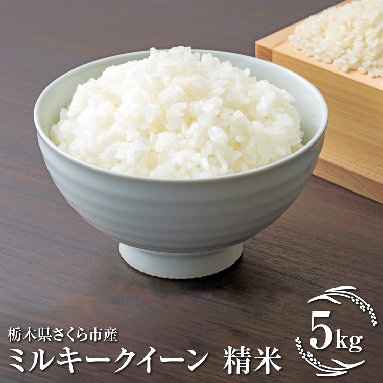 令和7年度　栃木県さくら市産ミルキークイーン　精米5kg｜米　白米　コメ　こめ　菜っ葉館※2025年11月上旬頃から順次発送予定