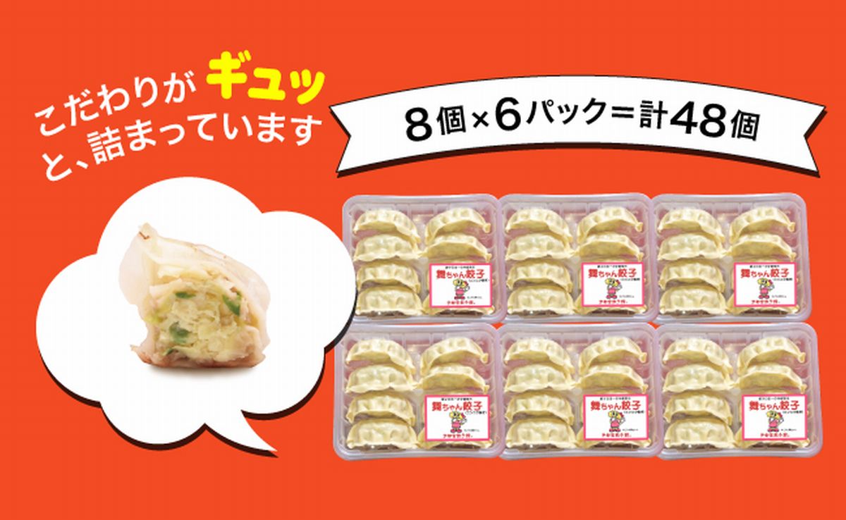 「宇都宮餃子館」舞ちゃん餃子 960ｇ（４８個）≪ギョーザ 冷凍餃子 冷凍食品 グルメ 食品 惣菜 中華惣菜 点心 中華≫