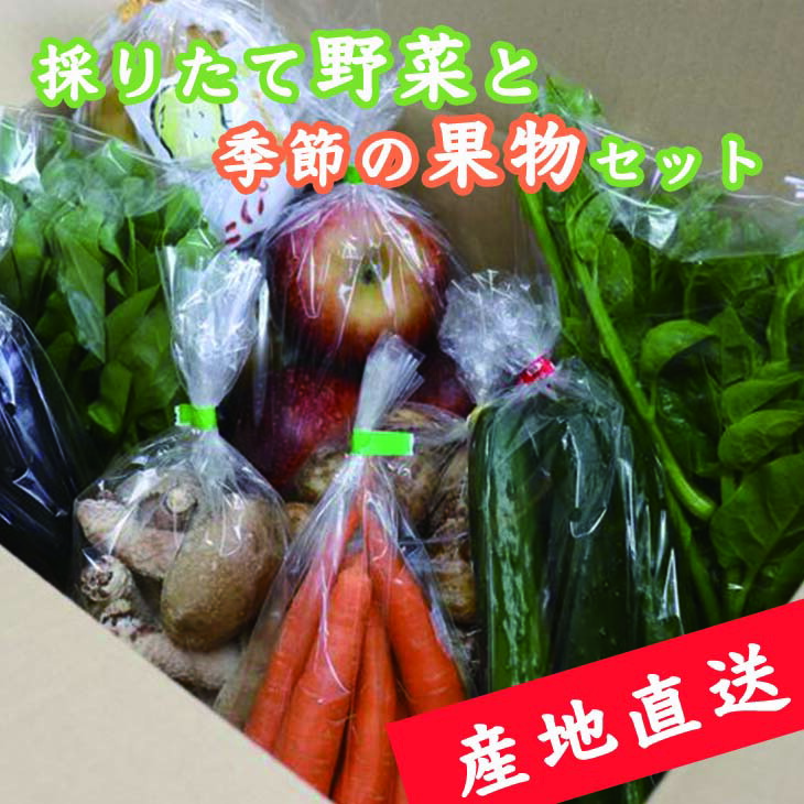 【産地直送】採りたて野菜と季節の果物セット≪旬の野菜 フルーツ 詰め合わせ 栃木県産≫