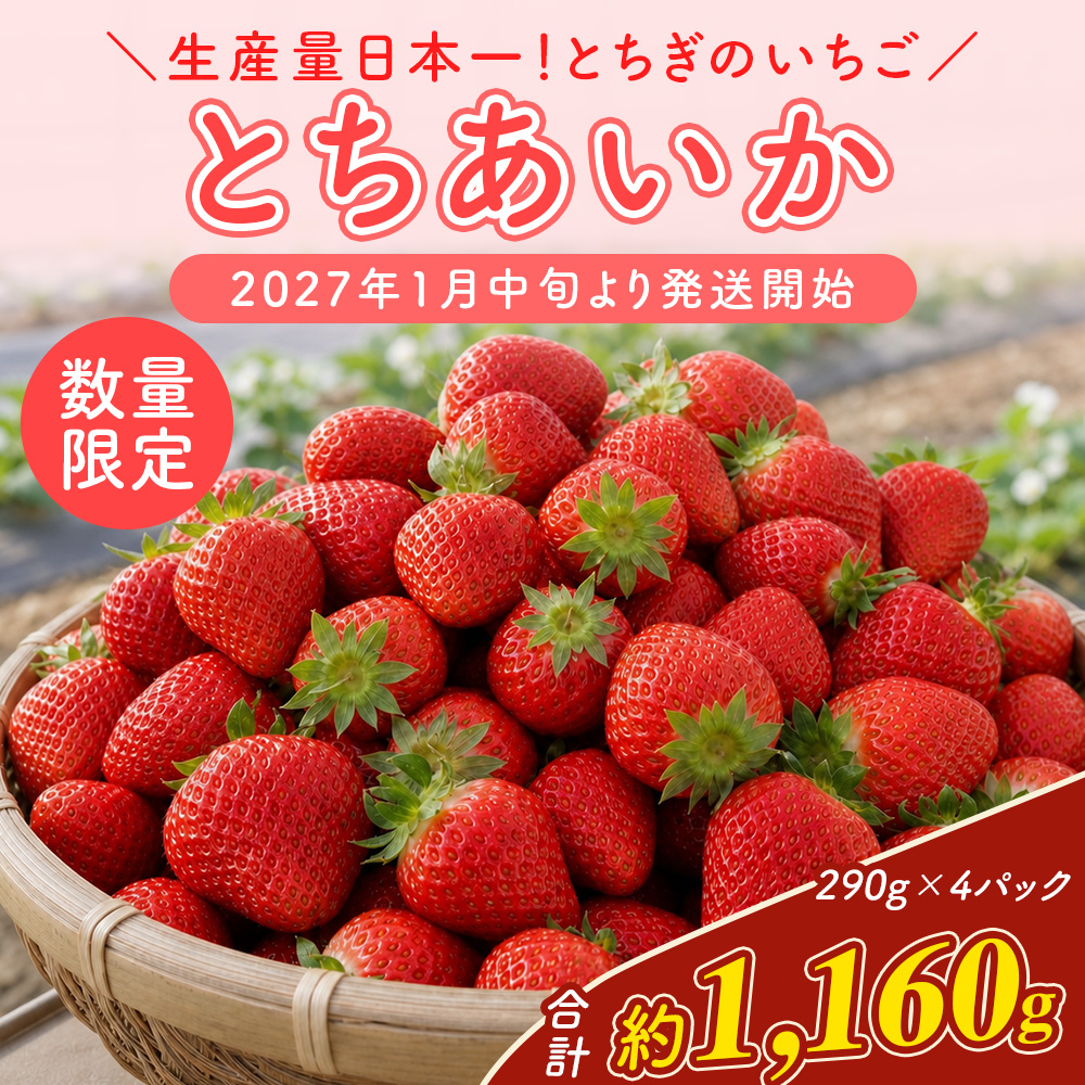 【先行予約】いちご 厳選！さくら市産 とちあいか（290g×4パック） ※2027年1月～発送