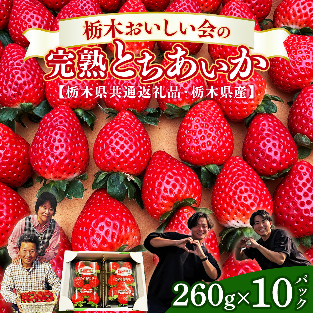 栃木おいしい会のいちご（とちあいか）260g×10パック（2600g）｜栃木県共通返礼品 栃木県産 ※2027年1月～発送