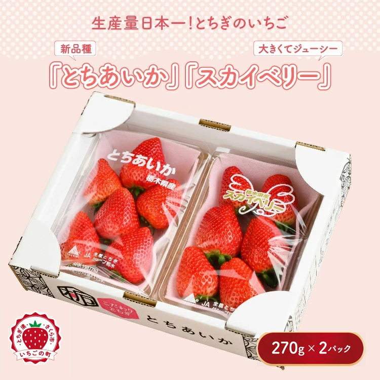 【先行予約】いちご とちあいか・スカイベリーセット 270g×2パック（540g）｜いちご イチゴ 苺 先行予約 栃木県 果物 くだもの フルーツ とちあいか スカイベリー 新鮮 贈答 ギフト 高級 食べ比べ ※2027年1月～発送