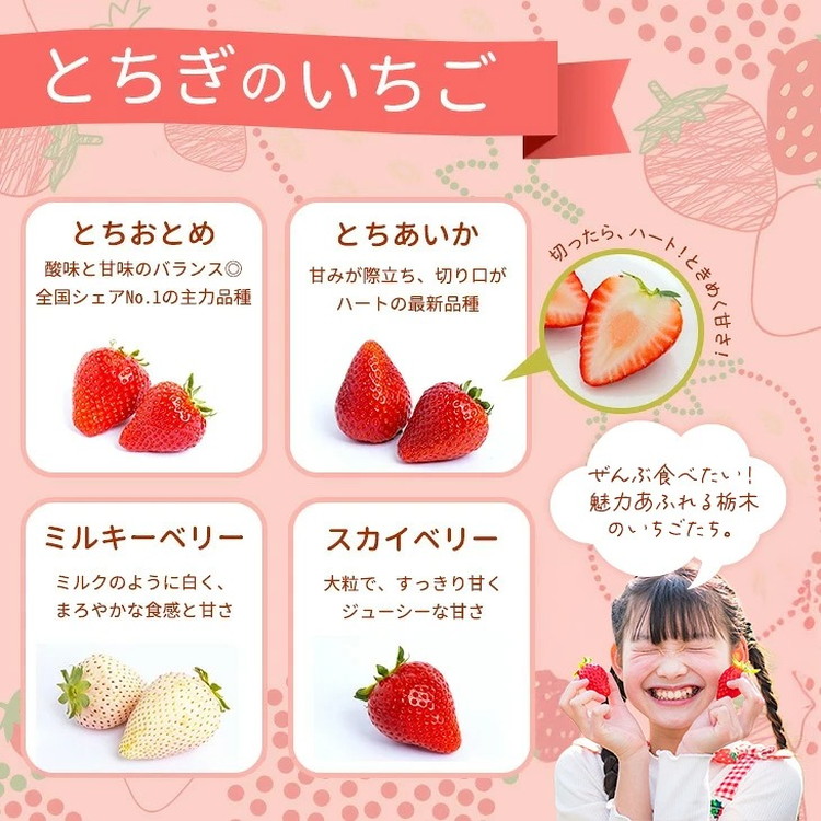 《数量限定》紅白セット（とちあいか・ミルキーベリー） 270g×2パック 540g以上 ｜いちご イチゴ 苺 先行予約 栃木県 果物 くだもの フルーツ デザート とちあいか ミルキーベリー 新鮮 贈答 ギフト 食べ比べ ※2027年1月～発送