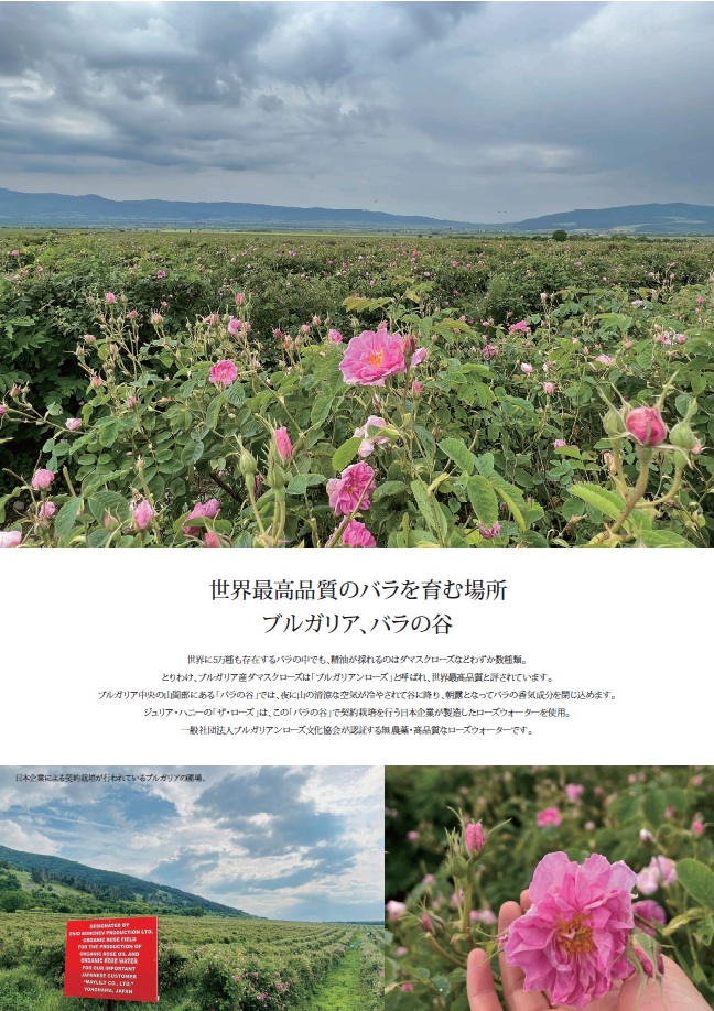 国産はちみつで作る二層の蜂蜜＆砂糖不使用蜂蜜ブルーベリージャムのオリジナル２本セット（国産・非加熱蜂蜜使用）｜栃木県産さくら蜂蜜・百花蜜・バラの蜂蜜