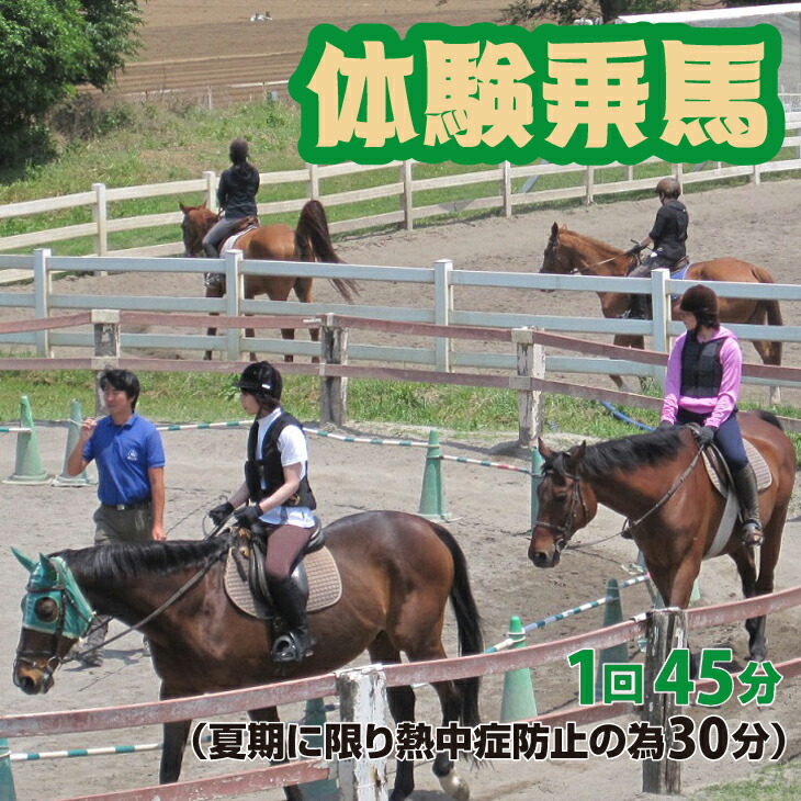 体験乗馬 メンバー体験コース  FAA-116