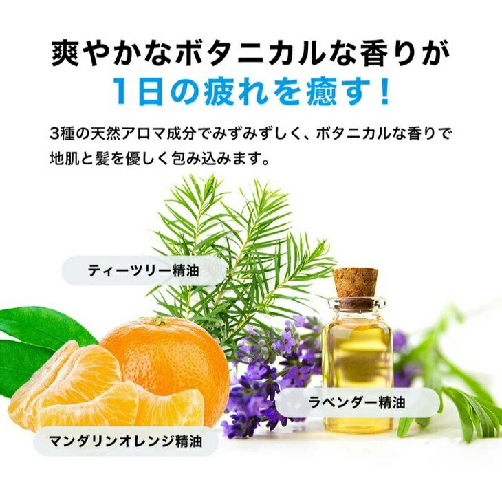 【定期便3ヶ月】スーパーサイヤ 濃密泡 スカルプシャンプー 180ml【医薬部外品】＆泥パック コンディショナー 150g【化粧品】メンズ セット ※着日指定不可  FAA-059