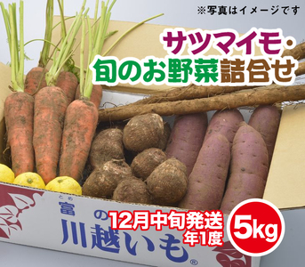 伝統的な「落ち葉堆肥農法」で育てた野菜セット ５kg程度（年に一度12月16日頃発送）冬野菜 やさい ベジタブル おまかせ 落葉 FAA-028