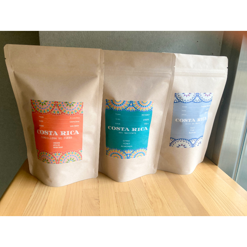 【豆】6カ月定期便ゲイシャコーヒー豆セット【kw0287-0003】コスタリカ コーヒー ゲイシャ Qアラビカグレーダー マイクロロット 自家焙煎 珈琲豆