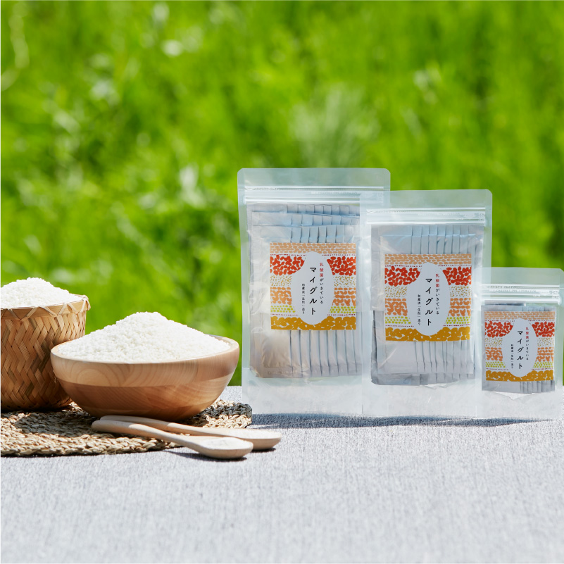 乳酸菌がいきているマイグルト　1ｇ×60包 【kw0134-0068】発酵 もろみ 乳酸菌 パン発酵 酵母 サプリ 腸活 種菌 五百万石米使用