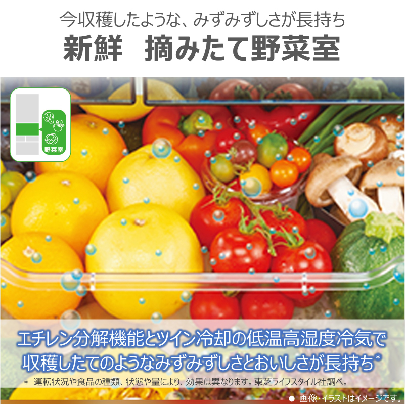 東芝　冷蔵庫【標準設置費込み】　462L　6ドア　両開き　冷凍冷蔵庫　GR-A460FH(EC)【kw0240-0483】 冷蔵庫 家電 キッチン家電 家電 電化製品