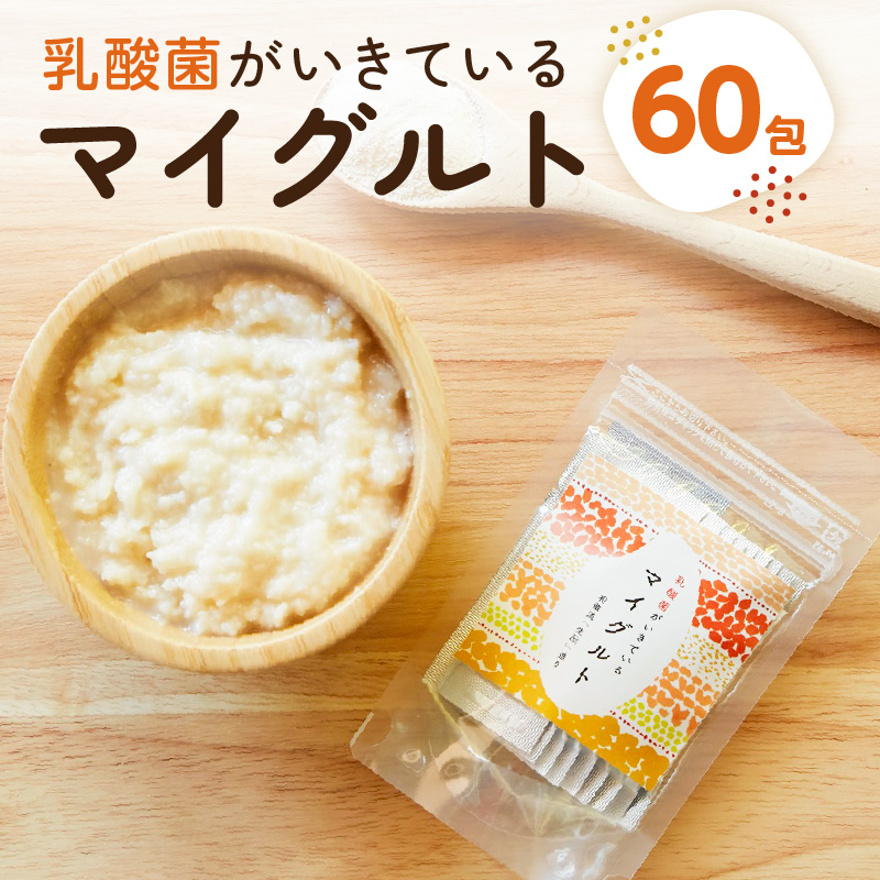 乳酸菌がいきているマイグルト　1ｇ×60包 【kw0134-0068】発酵 もろみ 乳酸菌 パン発酵 酵母 サプリ 腸活 種菌 五百万石米使用