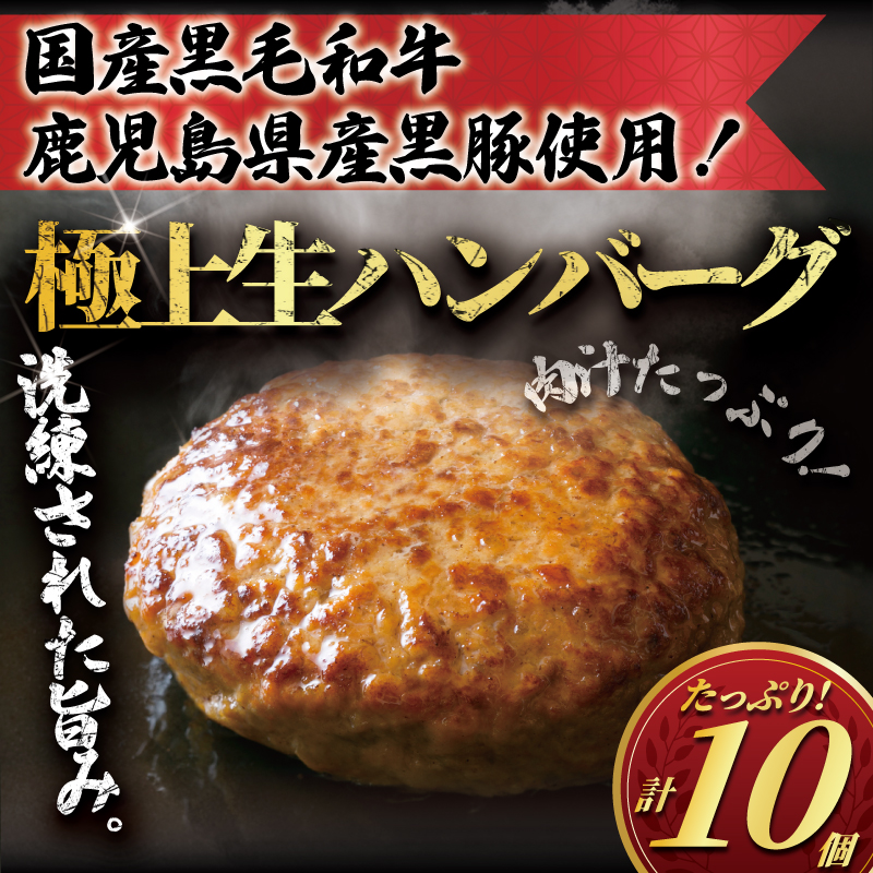 黒毛和牛 黒豚 ハンバーグ 10個 計 1.2kg はんばーぐ hannba-gu 国産 鹿児島県産 黒豚 手作り 冷凍 和牛 豚肉  ぶたにく ぎゅうにく 極上ハンバーグA4 A5ランク 使用 ブラックハンバーグ niku 小分け 簡単調理 焼くだけ 生ハンバーグ  人気 夕食 肉汁 10000円 タカギフーズ 神奈川 湘南 藤沢市