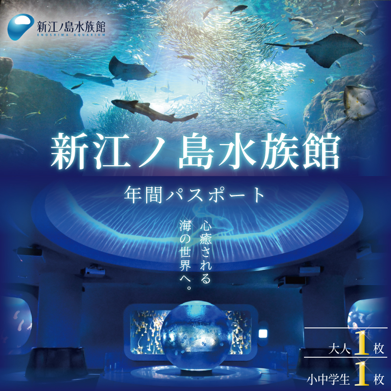 水族館 チケット 新江ノ島水族館 年間 パスポート 引換券 大人 1枚 江ノ島 江の島 えのすい 利用券 券 体験チケット イルカショー 体験型 アクティビティ 入場券 前売り券 お出かけ 家族 旅行 観光 トラベル 関東 すいぞくかん レジャー 食べ物以外 株式会社新江ノ島水族館 神奈川 湘南 藤沢