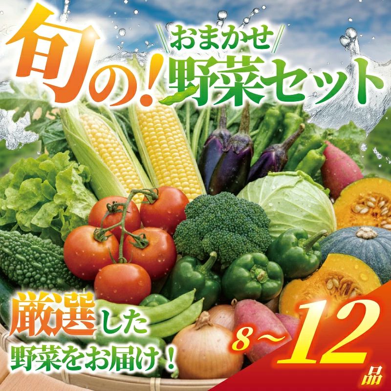 野菜 セット 8 ～ 12品 旬の野菜 おまかせ セット お任せ 詰め合わせ 野菜セット やさい やさいセット yasai きゅうり トマト なす ねぎ さといも とまと 10000円トウモロコシ 小松菜 白菜 玉ねぎ とまと キュウリ ヤサイ 旬の野菜セット 新鮮 数量限定 亀井農園 神奈川 湘南 藤沢