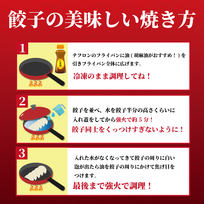 餃子 ぎょうざ 144個 (48個 × 3 パック) 肉汁たっぷり 大きい 国産 ブランド豚 ルイビ豚 小分け 豚肉 野菜 肉 湘南餃子 湘南ぎょうざ 焼き餃子 gyouza ギョーザ 冷凍餃子 生餃子 冷凍 ご飯 おかず 冷凍食品 中華 おつまみ 簡単調理 時短 簡易包装 手作り餃子 サノフーズ 神奈川 湘南 藤沢