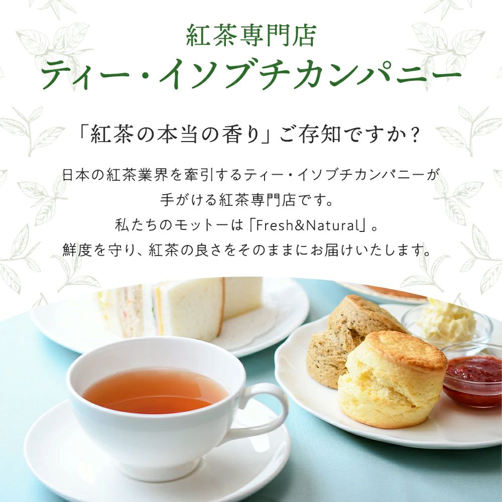 スコーン 12個 セット 2種 ( プレーン 6個 アールグレイ 6個 ) 焼き菓子 お菓子 焼菓子 おやつ 洋菓子 デザート スイーツ 人気 発酵 バター コク 風味 すこーん スコン scone すこん 常温 ミルクティー 手土産 ギフト プレゼント 手作り 10000円 紅茶 茶 専門店 ティー イソブチカンパニー 神奈川 湘南 藤沢
