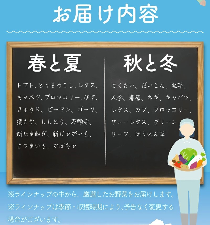 野菜 セット 8 ～ 12品 旬の野菜 おまかせ セット お任せ 詰め合わせ 野菜セット やさい やさいセット yasai きゅうり トマト なす ねぎ さといも とまと 10000円トウモロコシ 小松菜 白菜 玉ねぎ とまと キュウリ ヤサイ 旬の野菜セット 新鮮 数量限定 亀井農園 神奈川 湘南 藤沢