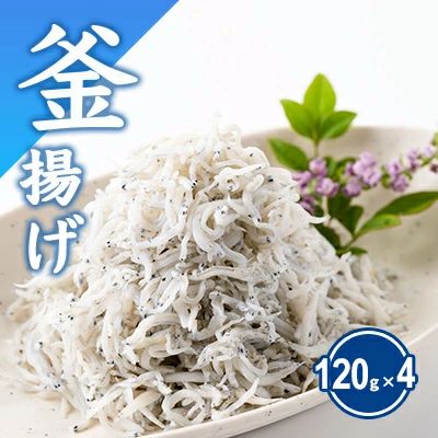 釜揚げしらす しらす 計480g 120g × 4 パック シラス 魚 釜揚げ 湘南しらす しらすごはん shirasu sirasu 冷凍しらす 人気シラス じゃこ ちりめん しらす干し イワシ 小分け 便利 手軽 海鮮 新鮮 魚介 魚貝 小魚 冷凍 セット 贈答 江の島 江ノ島 10000円 とびっちょ 神奈川 湘南 藤沢