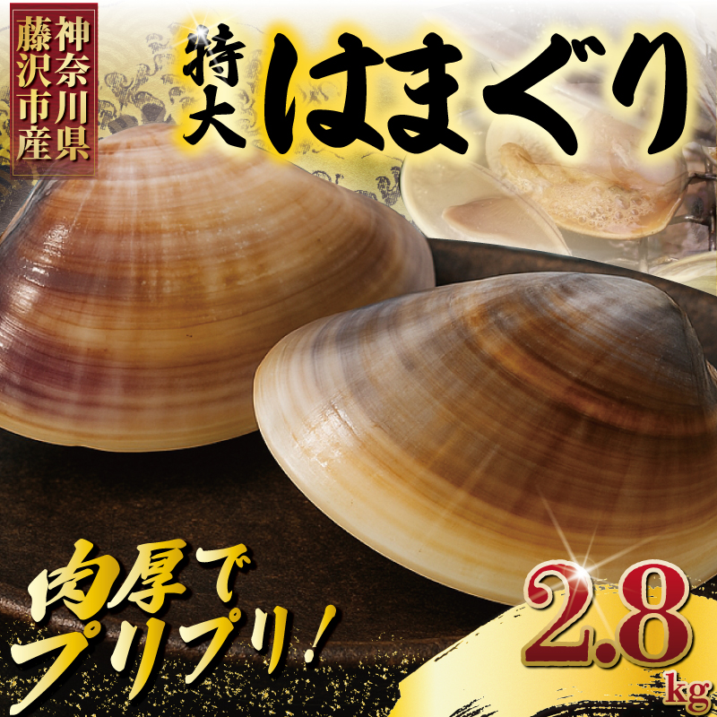 はまぐり 蛤 大粒 約 2.8kg 砂抜き 済 LLサイズ ハマグリ 湘南はまぐり 冷凍 魚介 魚貝 冷凍 海鮮 水産加工品 水産品 海産物 魚 貝 だし ダシ 出汁 酒蒸し 味噌汁 酒蒸し グラタン お吸い物 網焼き バーベキュー BBQ 貝 kai hamaguri 江の島 江ノ島 3月～12月中旬発送 神奈川 湘南 藤沢