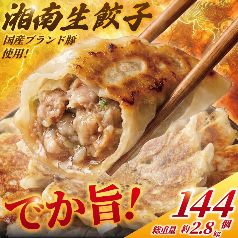 餃子 ぎょうざ 144個 (48個 × 3 パック) 肉汁たっぷり 大きい 国産 ブランド豚 ルイビ豚 小分け 豚肉 野菜 肉 湘南餃子 湘南ぎょうざ 焼き餃子 gyouza ギョーザ 冷凍餃子 生餃子 冷凍 ご飯 おかず 冷凍食品 中華 おつまみ 簡単調理 時短 簡易包装 手作り餃子 サノフーズ 神奈川 湘南 藤沢
