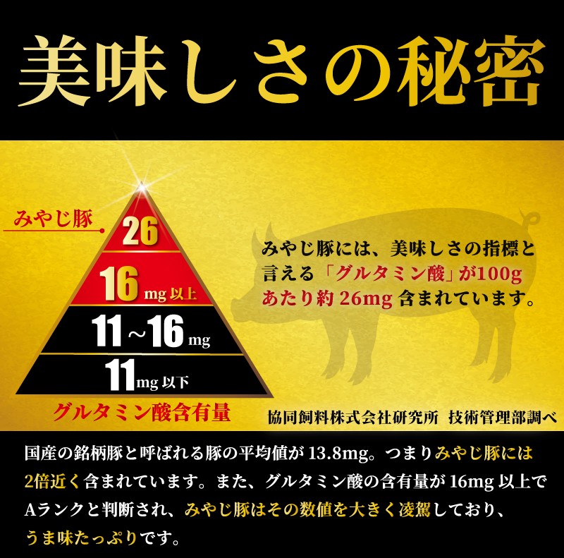 【バラ肉 もも肉 計900g】 みやじ豚 焼き肉 セット 豚 ブランド豚肉 国産 ぶたにく ぶた ブタ buta ばら肉 モモ肉 バラ もも やきにく BBQ バーベキュー 真空 パック ポーク しゃぶ すきやき すき焼き シャブシャブ お肉 肉 おにく 10000円 niku 冷蔵 生肉 神奈川 湘南 藤沢