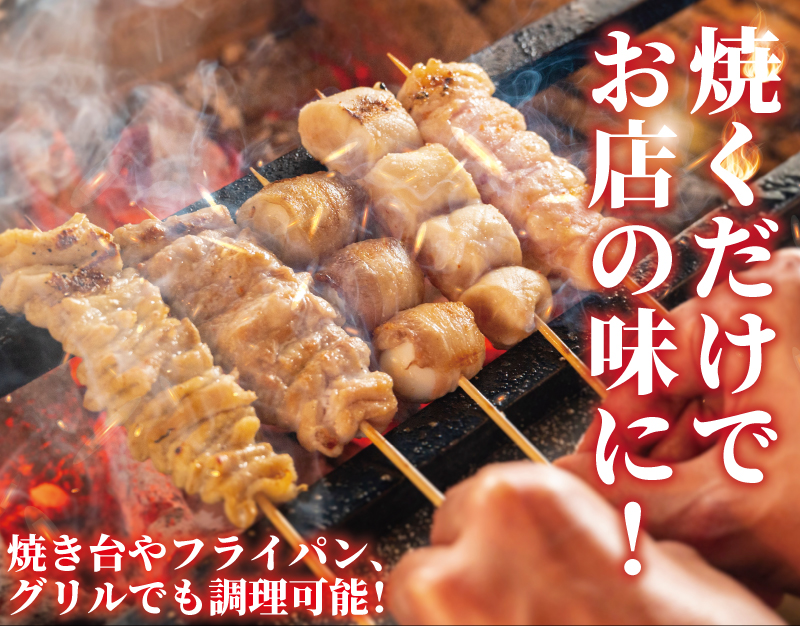 訳あり 焼き鳥 40本 4種 お任せ セット 鶏もも つくね 砂肝 豚ハツ 冷凍 やきとり 焼き鶏 ヤキトリ 焼鳥 焼鶏 やき鳥 焼きとり yakitori 串焼き 鶏肉 とりにく 不揃い トリニク 肉 鶏肉 鳥肉 訳あり品 訳アリ わけあり  BBQ 簡単調理 冷凍食品 おつまみ おかず 10000円 加納食堂 神奈川 湘南 藤沢