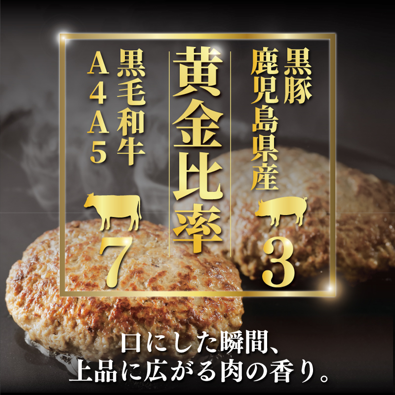 黒毛和牛 黒豚 ハンバーグ 10個 計 1.2kg はんばーぐ hannba-gu 国産 鹿児島県産 黒豚 手作り 冷凍 和牛 豚肉  ぶたにく ぎゅうにく 極上ハンバーグA4 A5ランク 使用 ブラックハンバーグ niku 小分け 簡単調理 焼くだけ 生ハンバーグ  人気 夕食 肉汁 10000円 タカギフーズ 神奈川 湘南 藤沢市